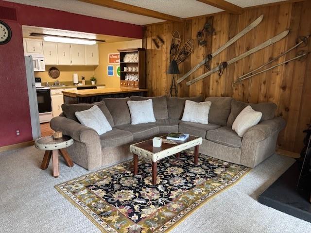 88 Guller Rd Unit 303, Copper Mountain, CO 80443 - photo 5