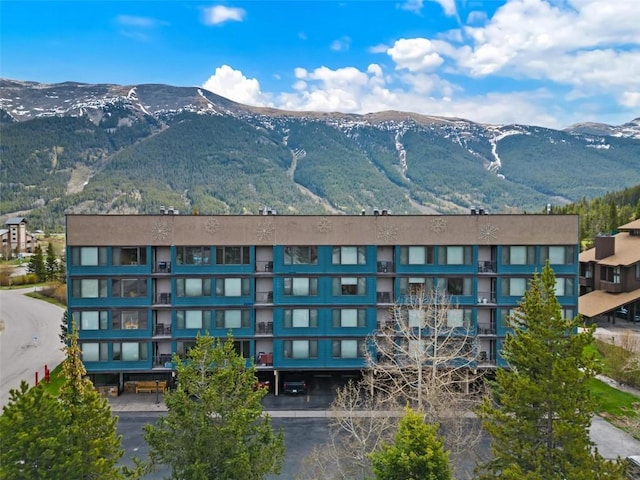 88 Guller Rd Unit 303, Copper Mountain, CO 80443 - photo 29