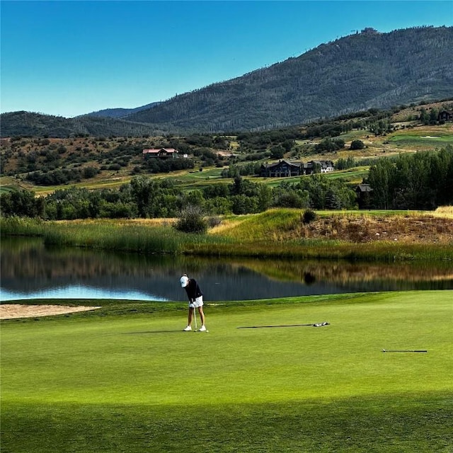 29100 Yowell Ln, Steamboat Springs, CO 80487 - photo 7