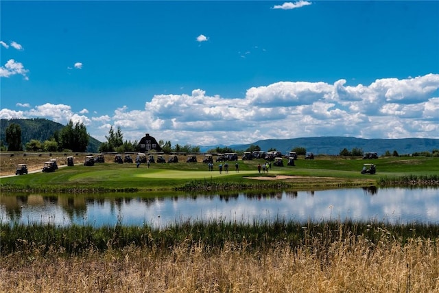 29100 Yowell Ln, Steamboat Springs, CO 80487 - photo 5