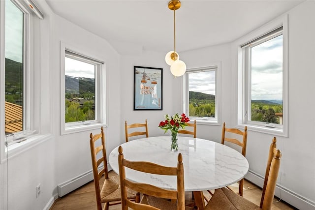 2700 Eagleridge Dr Unit N31, Steamboat Springs, CO 80487 - dining area featuring a baseboard radiator, wood finished floors, and baseboards