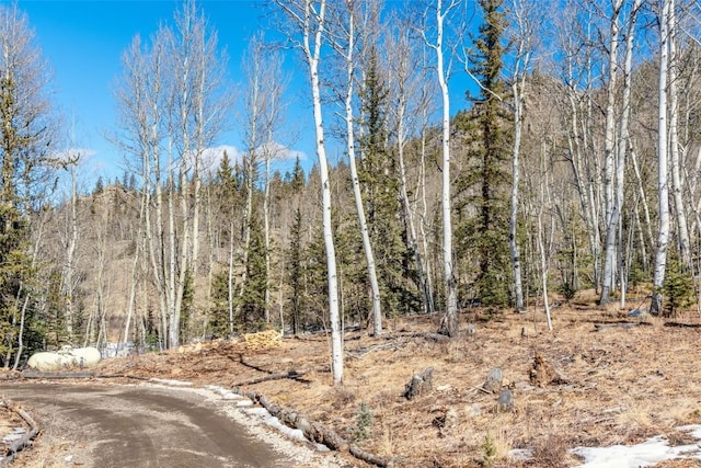 972 N Quarter Horse Rd, Jefferson, CO 80456 - view of local wilderness with a wooded view