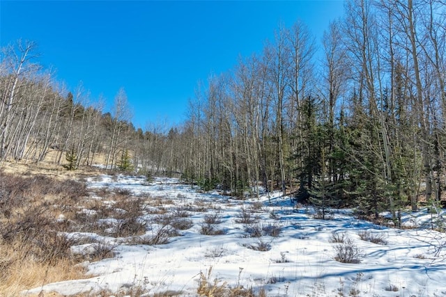 972 N Quarter Horse Rd, Jefferson, CO 80456 - view of landscape featuring a forest view