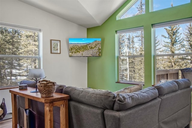972 N Quarter Horse Rd, Jefferson, CO 80456 - living room with lofted ceiling