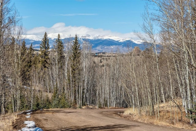972 N Quarter Horse Rd, Jefferson, CO 80456 - mountain view featuring a view of trees