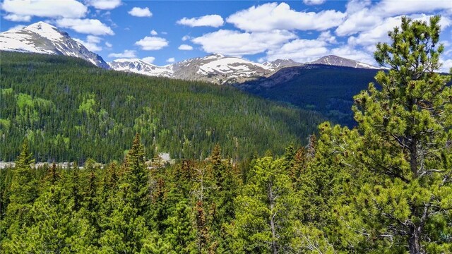 1013 Range Rd, Breckenridge, CO 80424