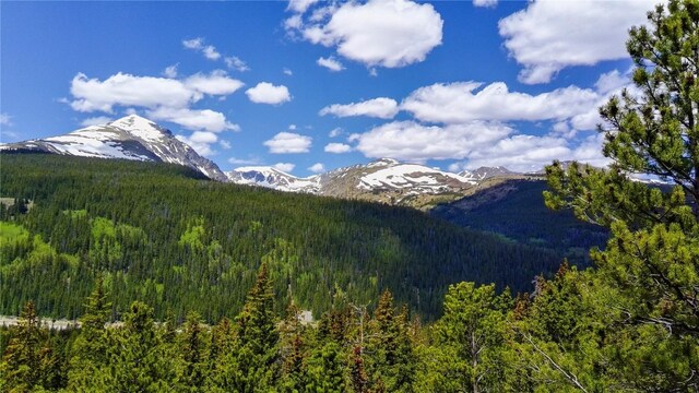 1013 Range Rd, Breckenridge, CO 80424