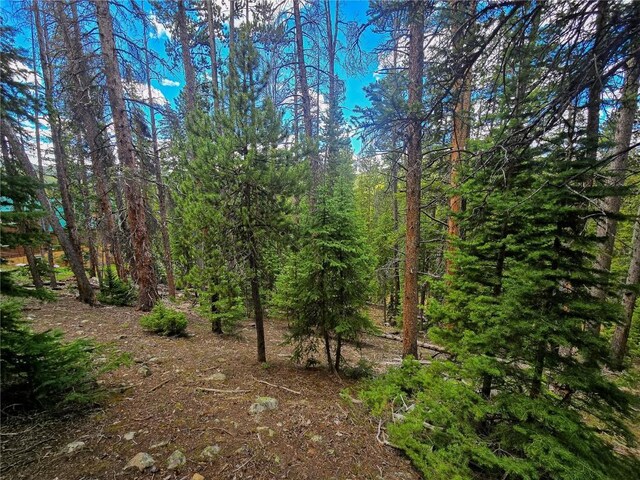 1013 Range Rd, Breckenridge, CO 80424