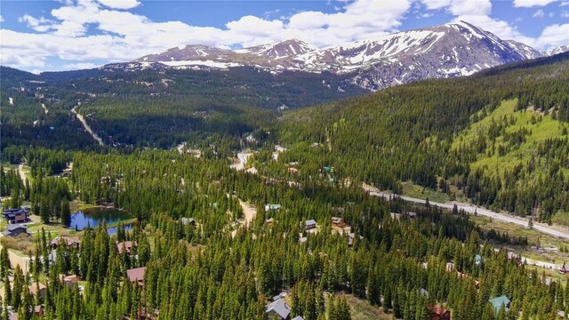 1013 Range Rd, Breckenridge, CO 80424