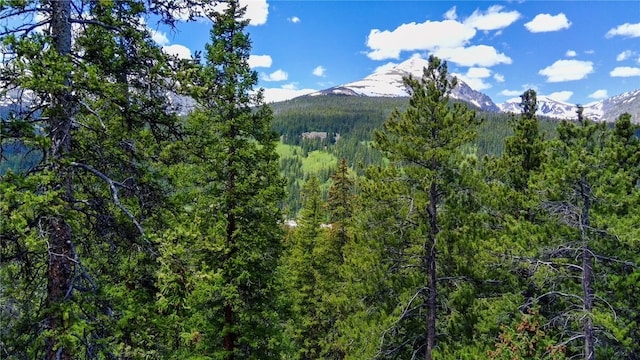 1013 Range Rd, Breckenridge, CO 80424