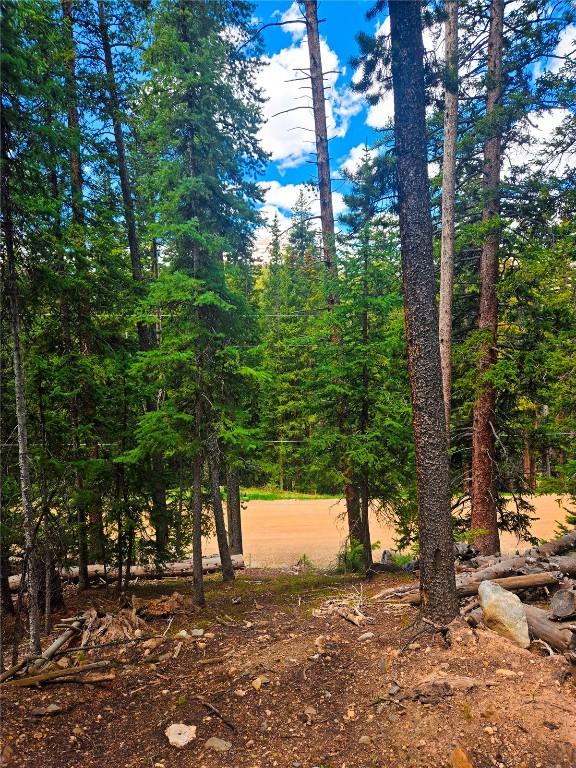 1013 Range Rd, Breckenridge, CO 80424