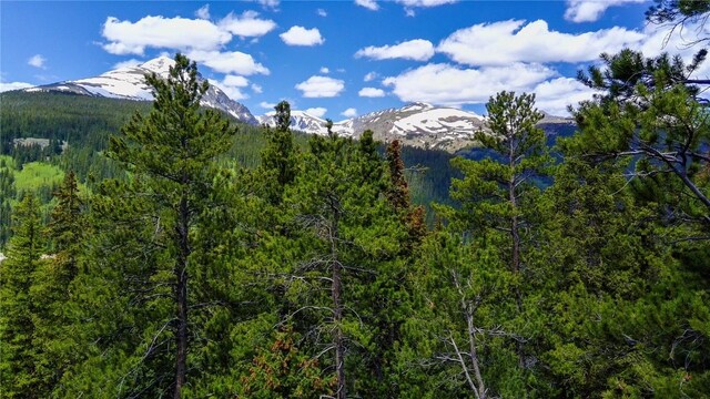 1013 Range Rd, Breckenridge, CO 80424