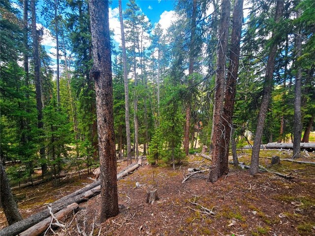 1013 Range Rd, Breckenridge, CO 80424
