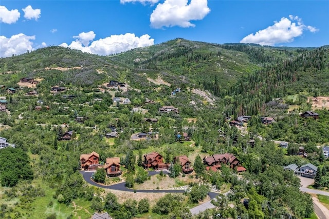 2547 Val Disere Cir Unit A, Steamboat Springs, CO 80487 - photo 6