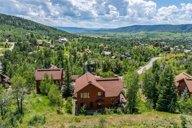 2547 Val Disere Cir Unit A, Steamboat Springs, CO 80487 - photo 7
