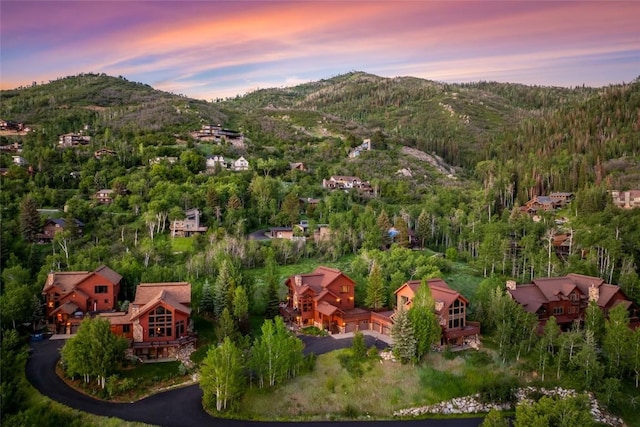 2547 Val Disere Cir Unit A, Steamboat Springs, CO 80487 - photo 5