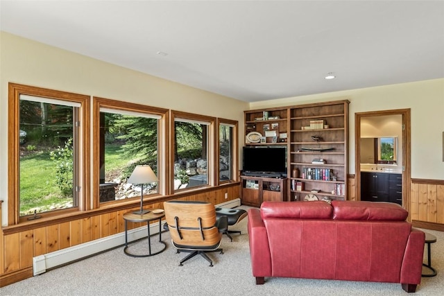 2547 Val Disere Cir Unit A, Steamboat Springs, CO 80487 - photo 35
