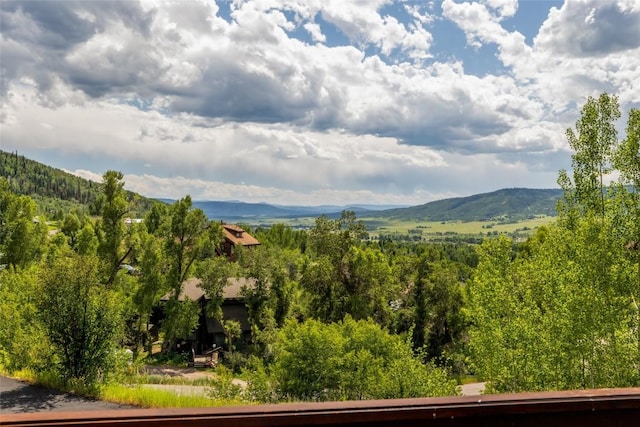 2547 Val Disere Cir Unit A, Steamboat Springs, CO 80487 - photo 10