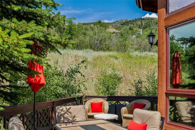 2547 Val Disere Cir Unit A, Steamboat Springs, CO 80487 - photo 11