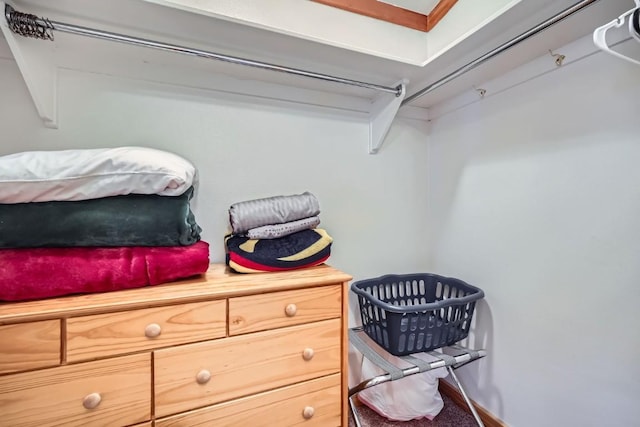 view of spacious closet