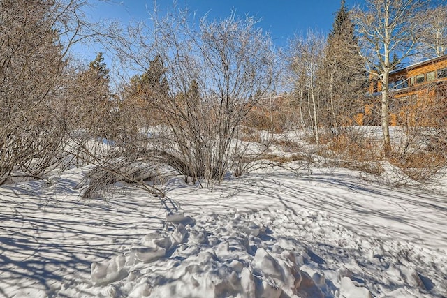 view of yard covered in snow