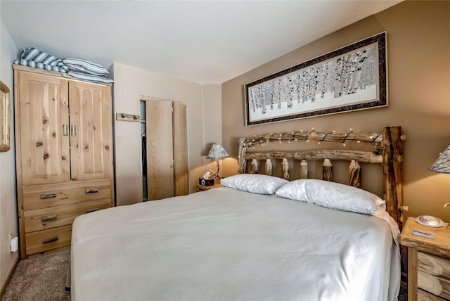 100 S Park Ave Unit E113, Breckenridge, CO 80424 - bedroom with carpet floors and a closet