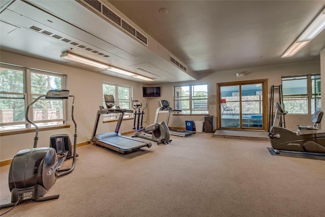 100 S Park Ave Unit E113, Breckenridge, CO 80424 - gym with carpet floors and baseboards