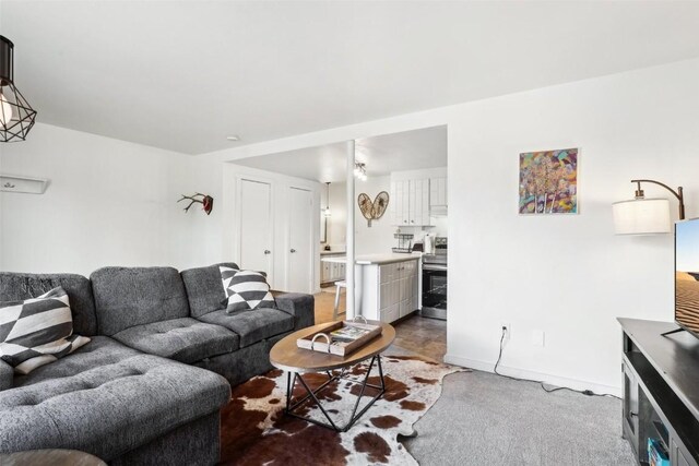 180 Evergreen Rd Unit 102, Dillon, CO 80435 - living room featuring baseboards