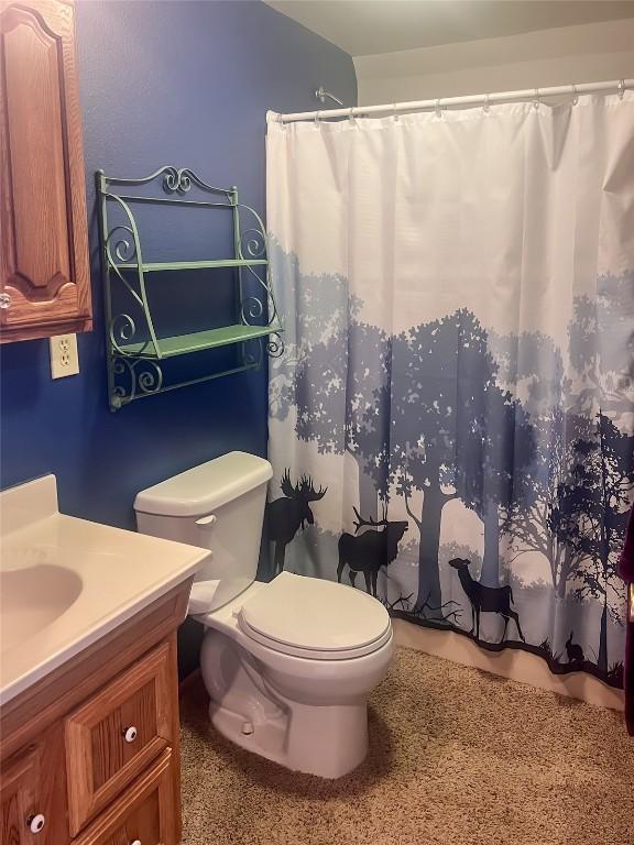 33000 Maricopa Trl, Oak Creek, CO 80467 - bathroom with vanity and a shower with curtain