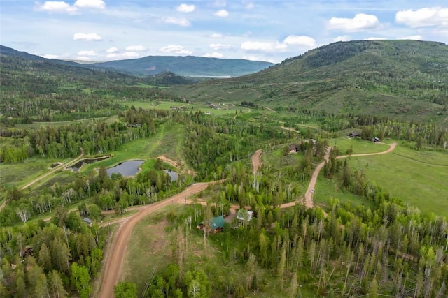 33000 Maricopa Trl, Oak Creek, CO 80467 - aerial overview of property's location with a water and mountain view