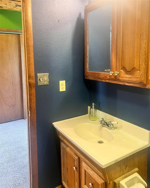 33000 Maricopa Trl, Oak Creek, CO 80467 - bathroom with vanity