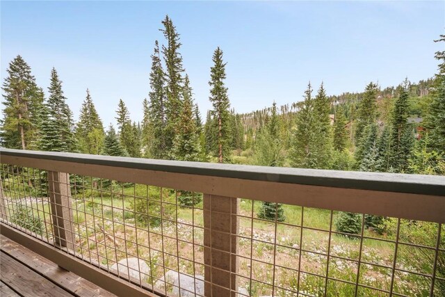 91399 Ryan Gulch Rd Unit A1, Silverthorne, CO 80498 - photo 39
