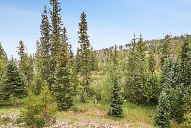 91399 Ryan Gulch Rd Unit A1, Silverthorne, CO 80498 - photo 22