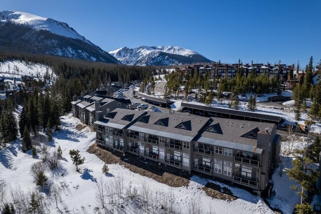 91399 Ryan Gulch Rd Unit A1, Silverthorne, CO 80498 - photo 32