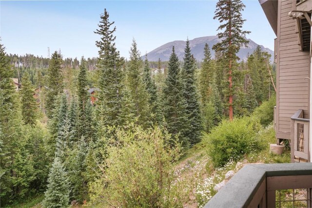 91399 Ryan Gulch Rd Unit A1, Silverthorne, CO 80498 - photo 23