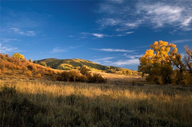 34395 Waterside Ct, Steamboat Springs, CO 80487