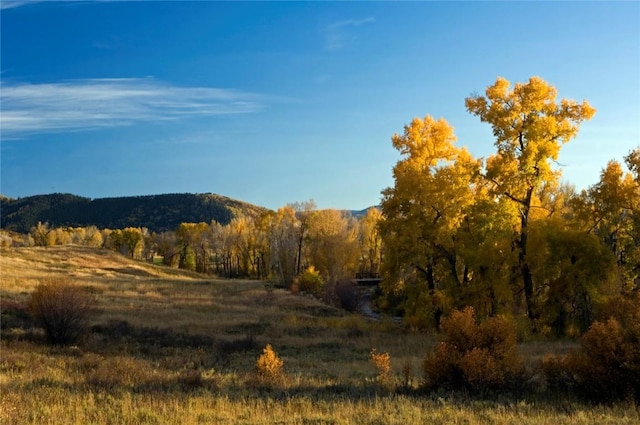 34395 Waterside Ct, Steamboat Springs, CO 80487