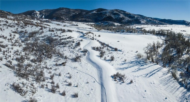 34395 Waterside Ct, Steamboat Springs, CO 80487
