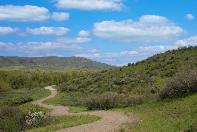34395 Waterside Ct, Steamboat Springs, CO 80487