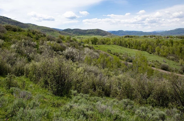 34395 Waterside Ct, Steamboat Springs, CO 80487