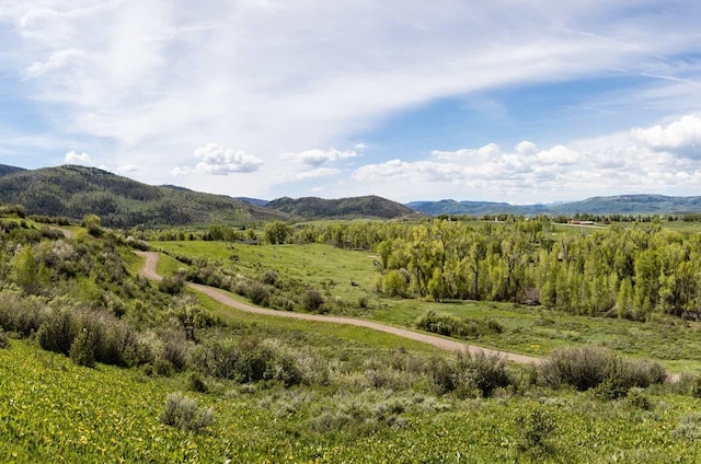 34395 Waterside Ct, Steamboat Springs, CO 80487