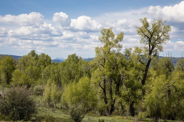 34395 Waterside Ct, Steamboat Springs, CO 80487