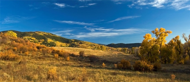 34395 Waterside Ct, Steamboat Springs, CO 80487