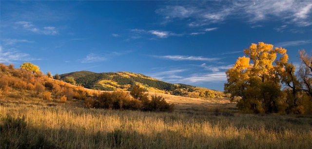 34395 Waterside Ct, Steamboat Springs, CO 80487