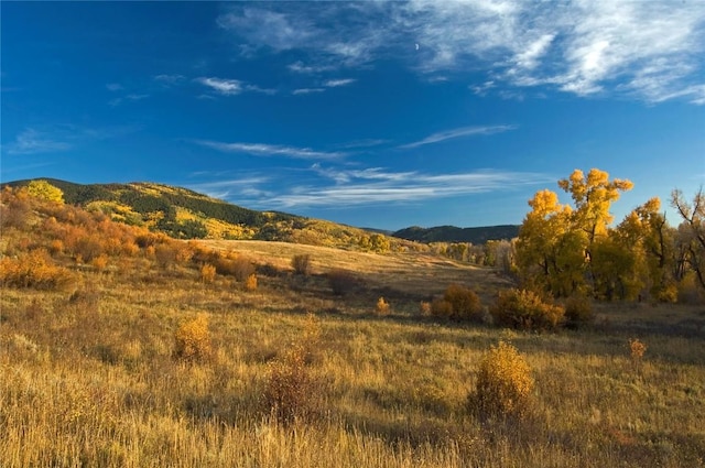 34395 Waterside Ct, Steamboat Springs, CO 80487