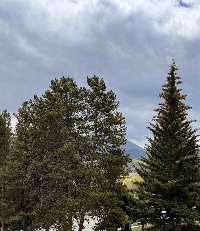 325 Four Oclock Rd Unit E202, Breckenridge, CO 80424 - view of undeveloped land with a mountainous background
