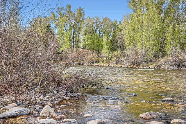 1090 Blue River Pkwy Unit 204, Silverthorne, CO 80498 - view of undeveloped land