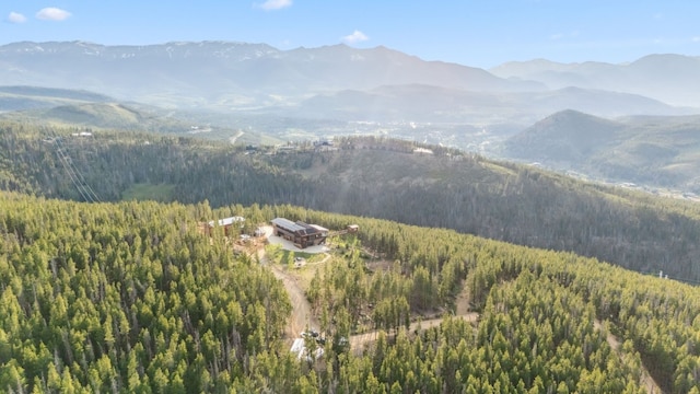 320 Headlight Dr, Breckenridge, CO 80424 - photo 3