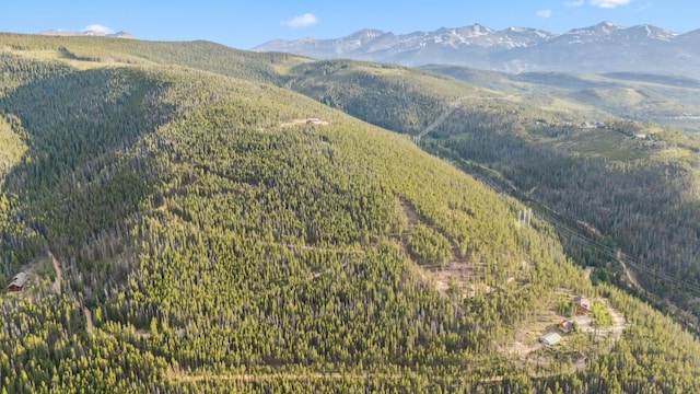 320 Headlight Dr, Breckenridge, CO 80424 - photo 32