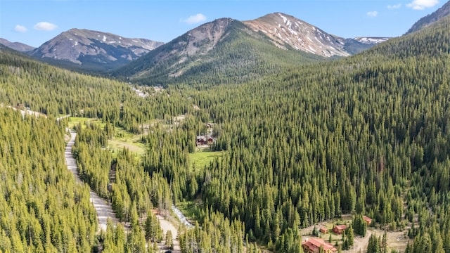 5080 Montezuma Rd, Keystone, CO 80435